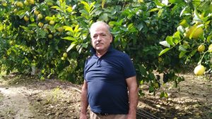 İHRACAT KOTASI ÜRETİCİYİ PERİŞAN ETTİ