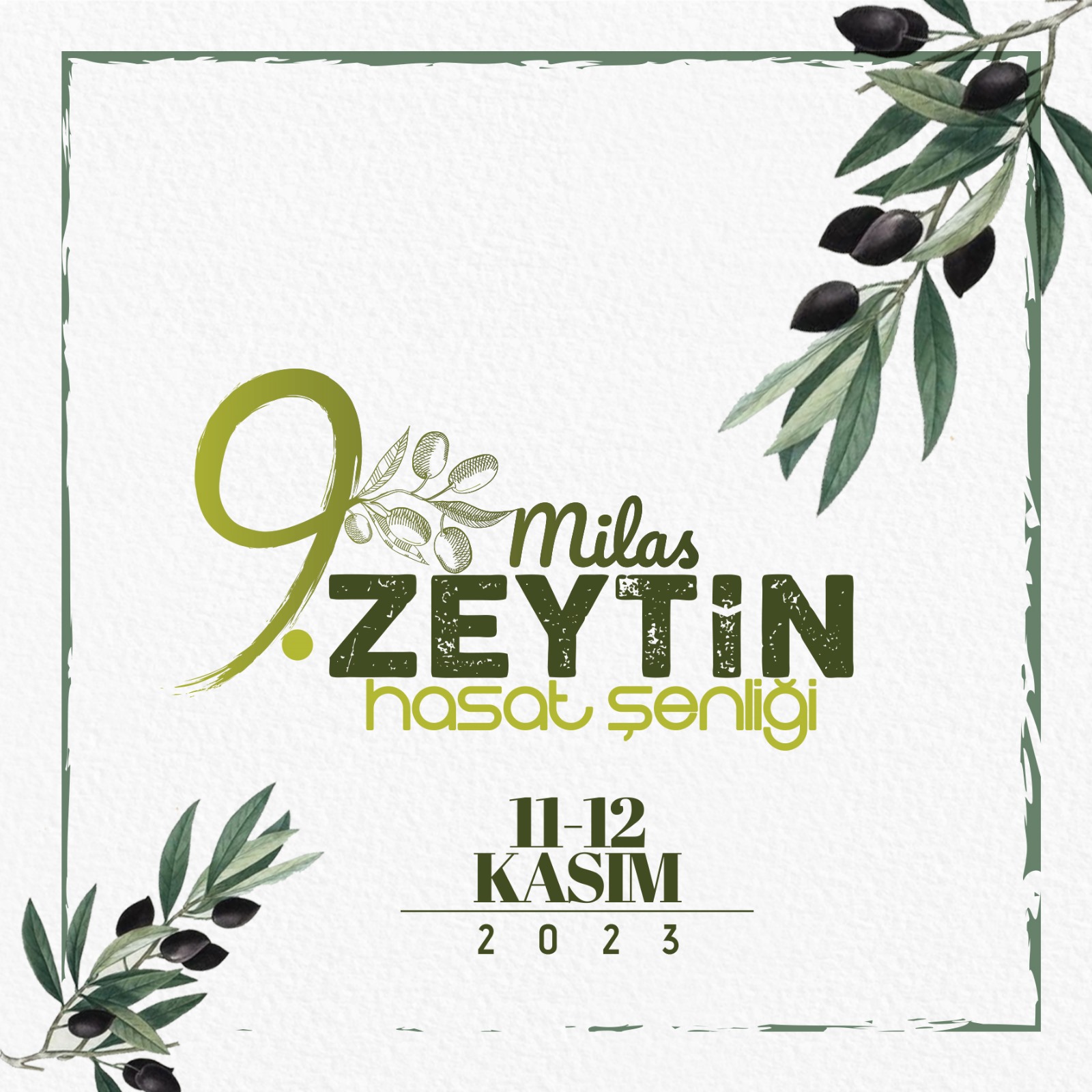 9-zeytin-hasat-senligi.jpeg