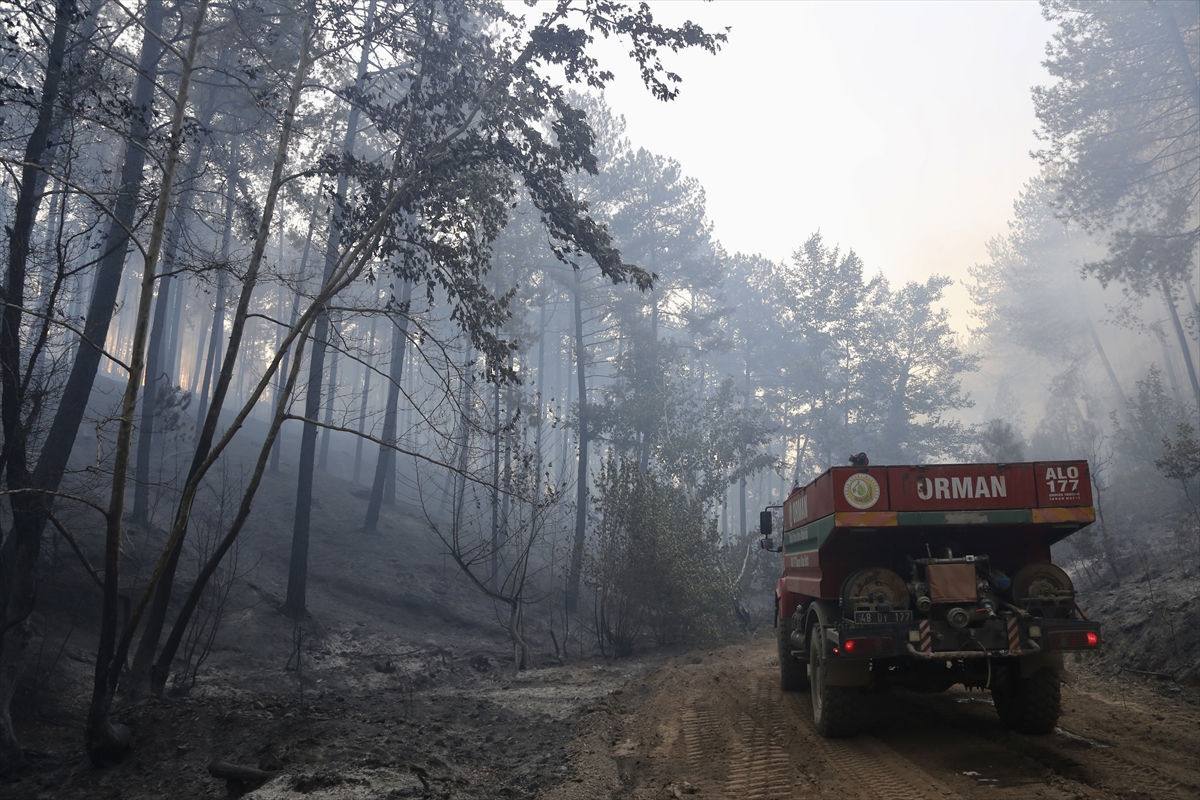 aa-20240819-35436073-35436069-muglanin-yatagan-ve-ula-ilcelerinde-cikan-orman-yanginlarina-mudahale-suruyor.jpg