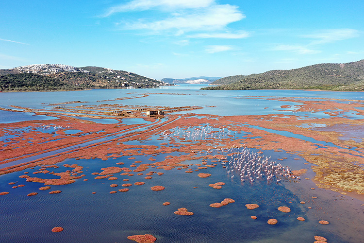 26.11 9 20221126 2 56155958 83167659