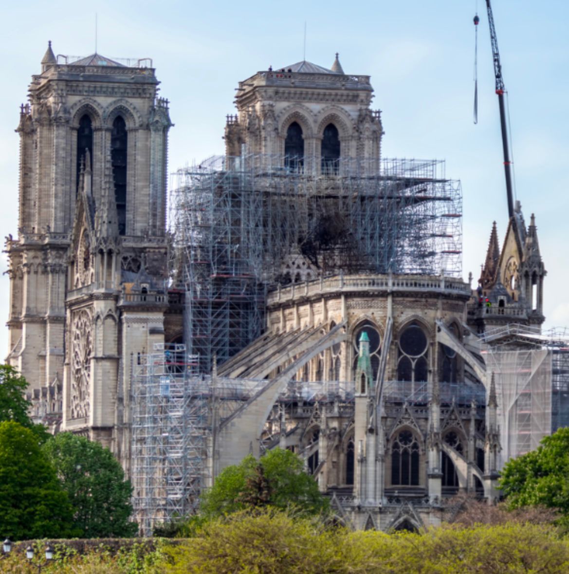 Whatsapp Image 2025 02 07 At 09.15.30 (2)