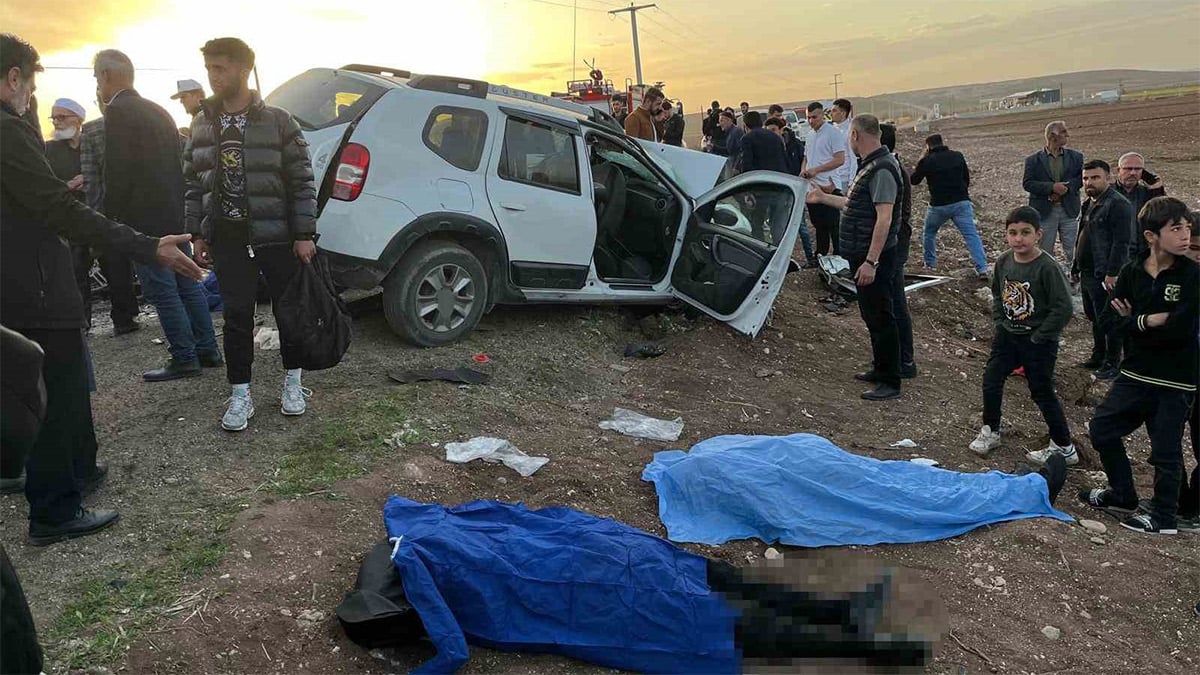 I M G 8883