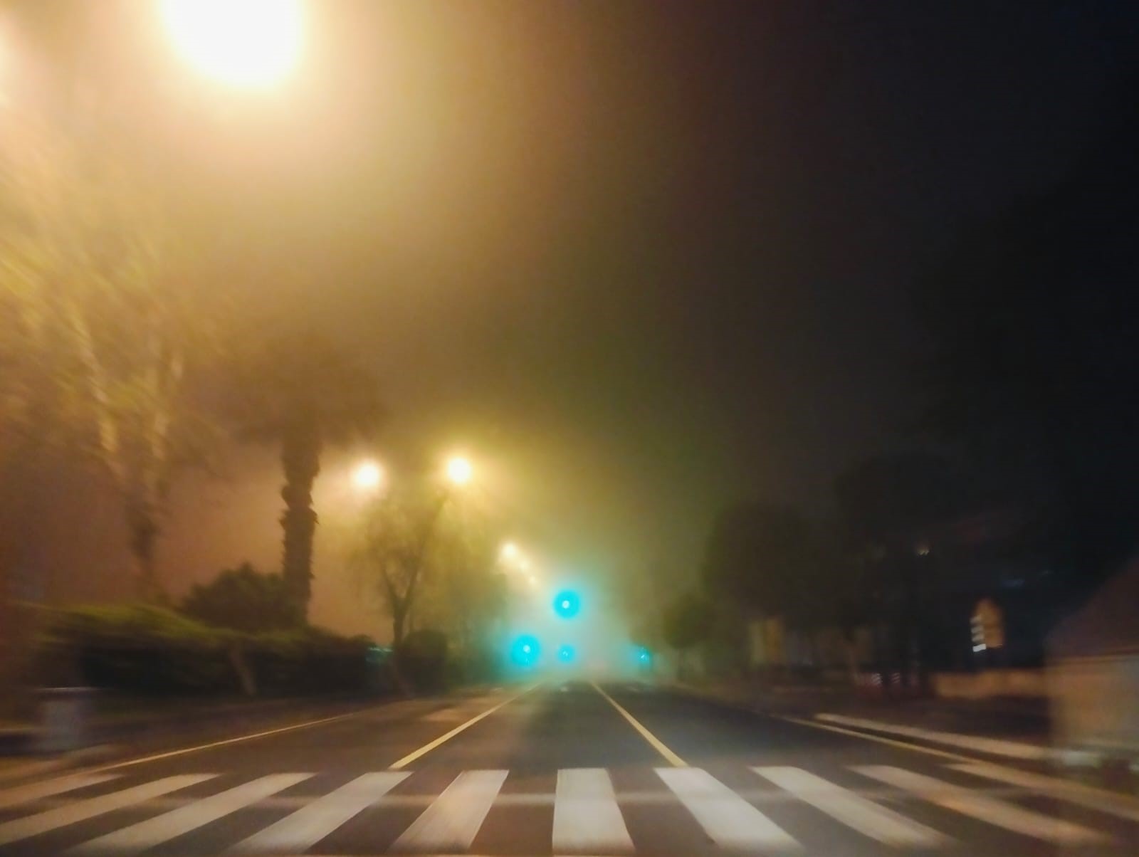 A W425639 05