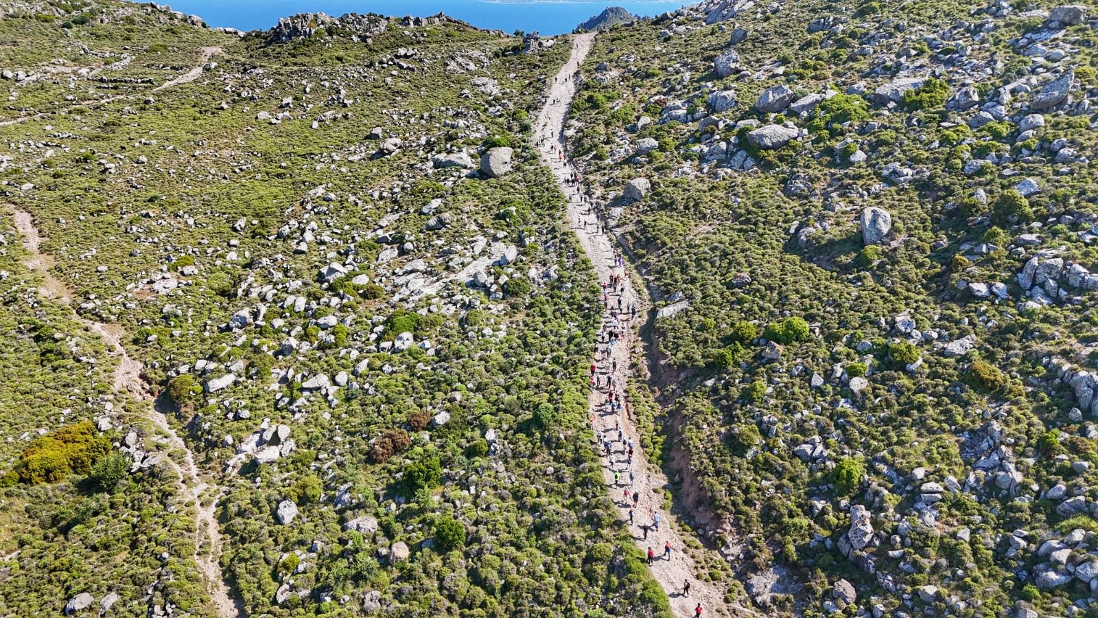 Whatsapp Image 2025 05 05 At 11.55.10