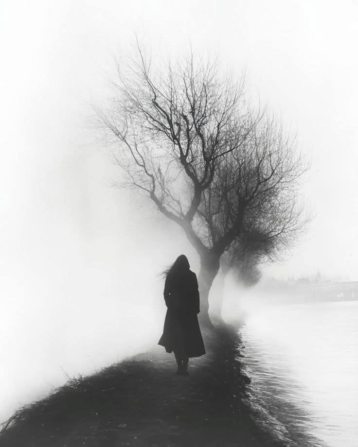 Whatsapp Image 2025 05 09 At 10.25.22