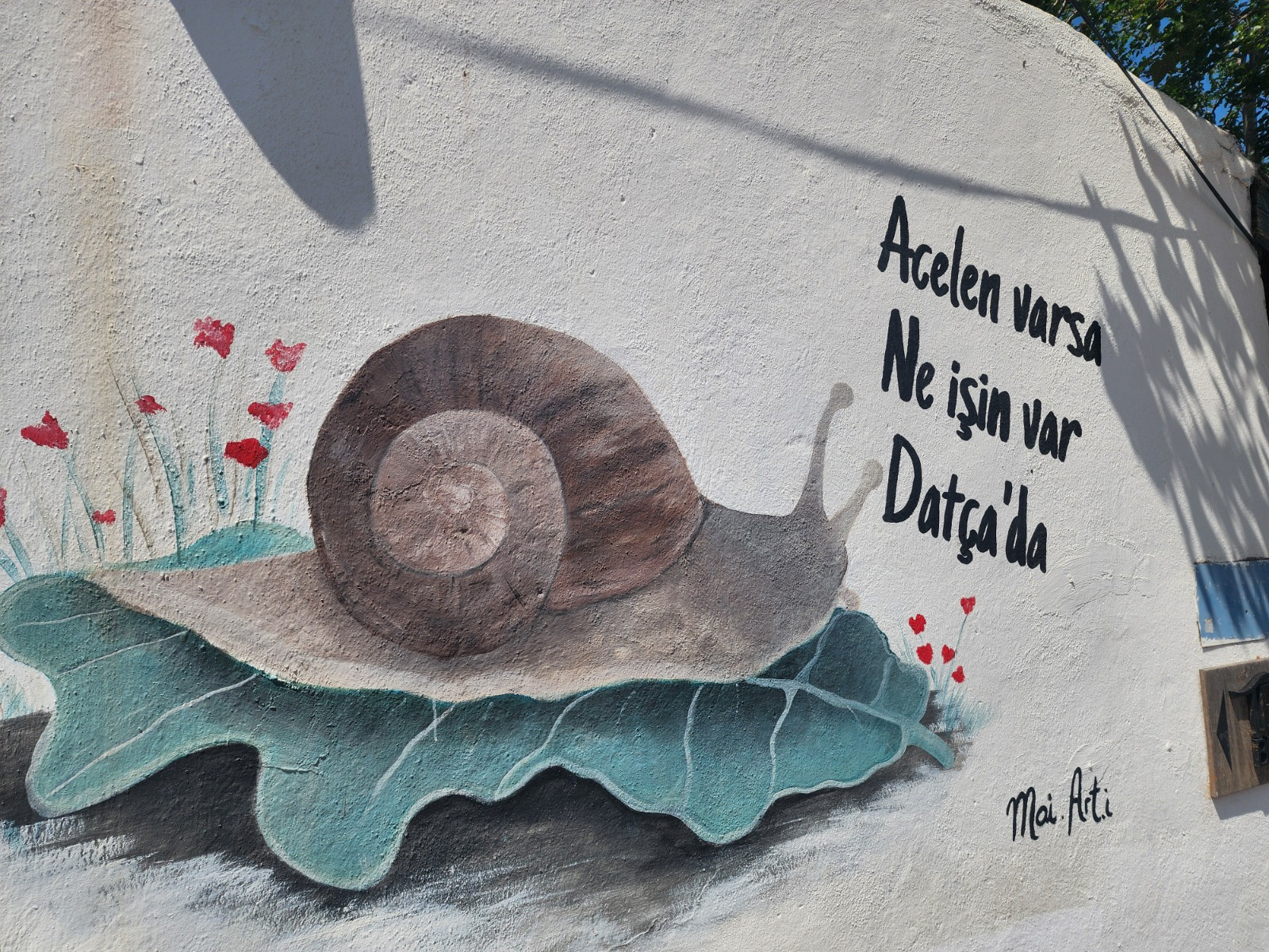 Whatsapp Image 2025 06 09 At 11.16.17