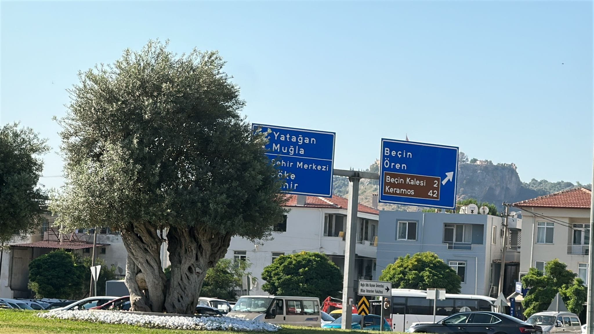 Whatsapp Image 2025 06 21 At 17.17.30