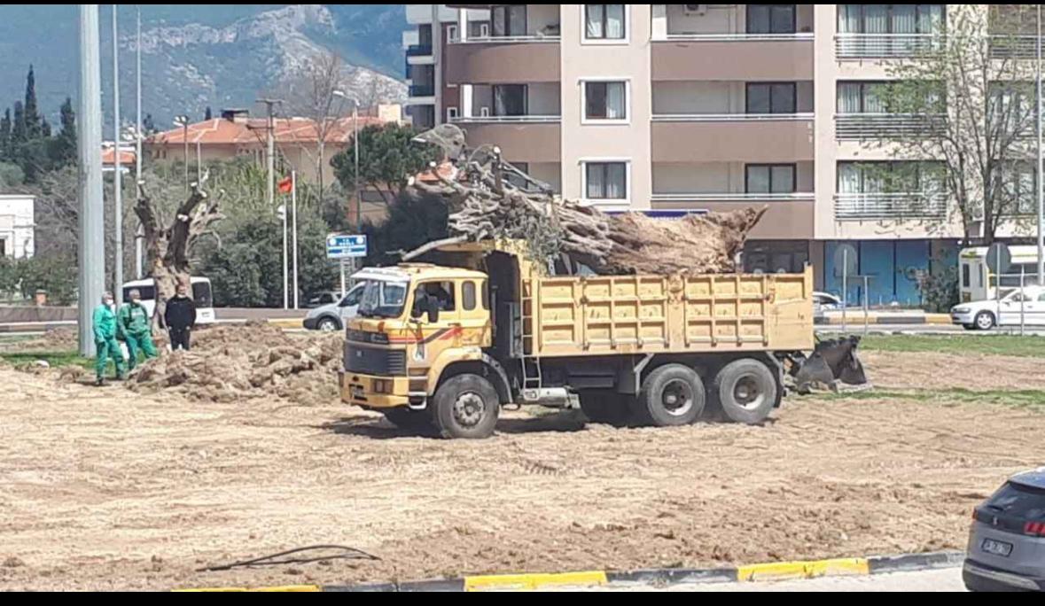 Whatsapp Image 2025 06 21 At 17.17.31 (1)