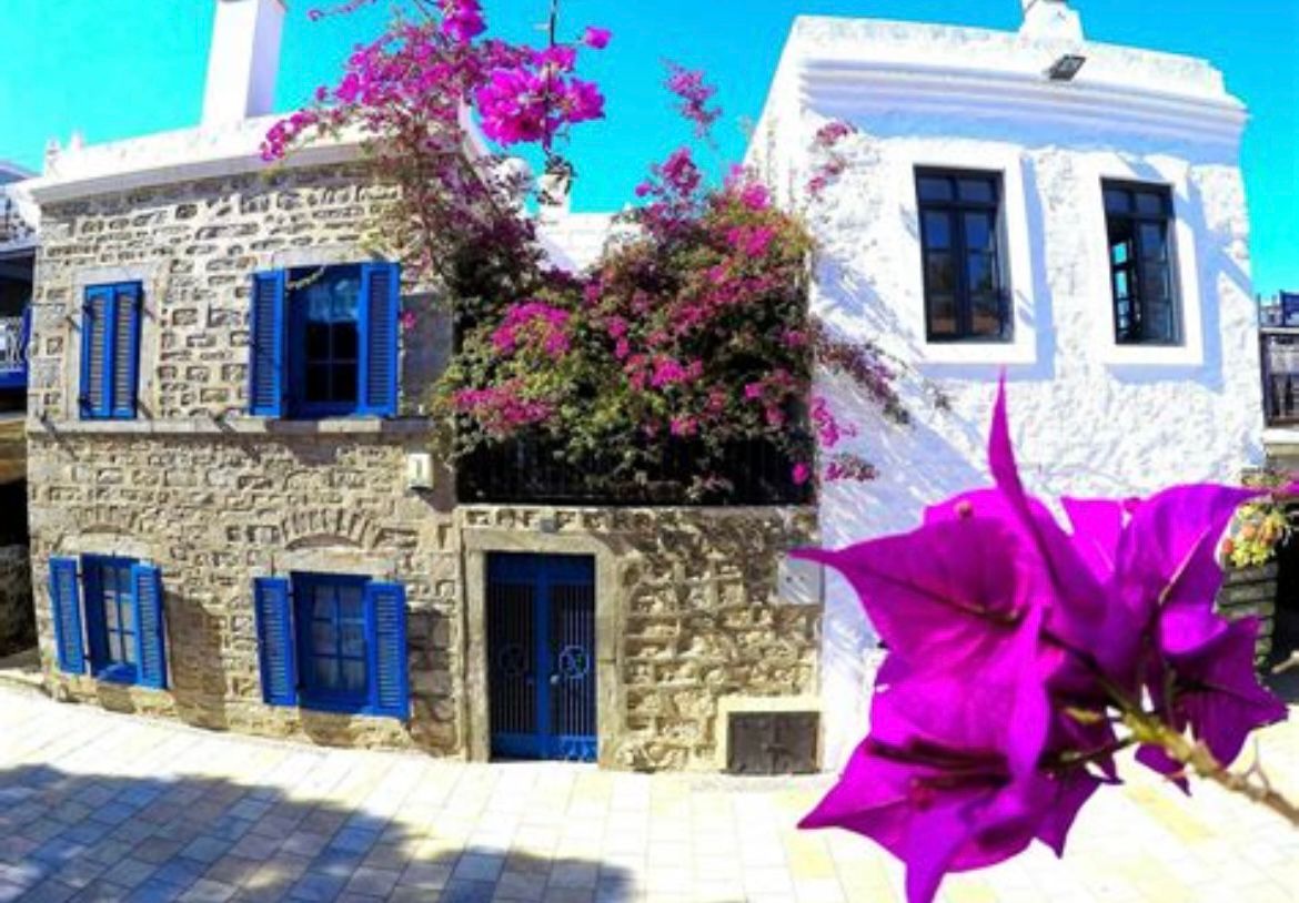 Whatsapp Image 2025 07 31 At 19.35.46 (1)