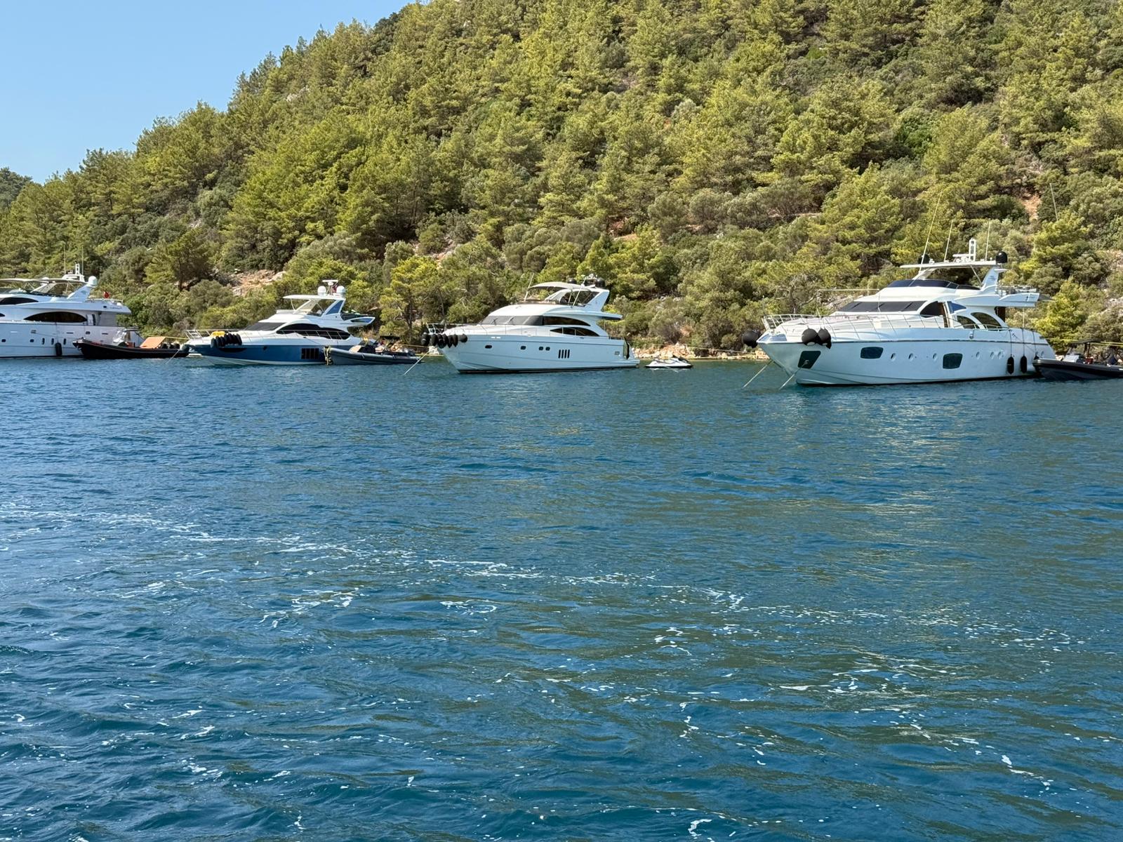 Whatsapp Image 2025 09 05 At 17.24.06