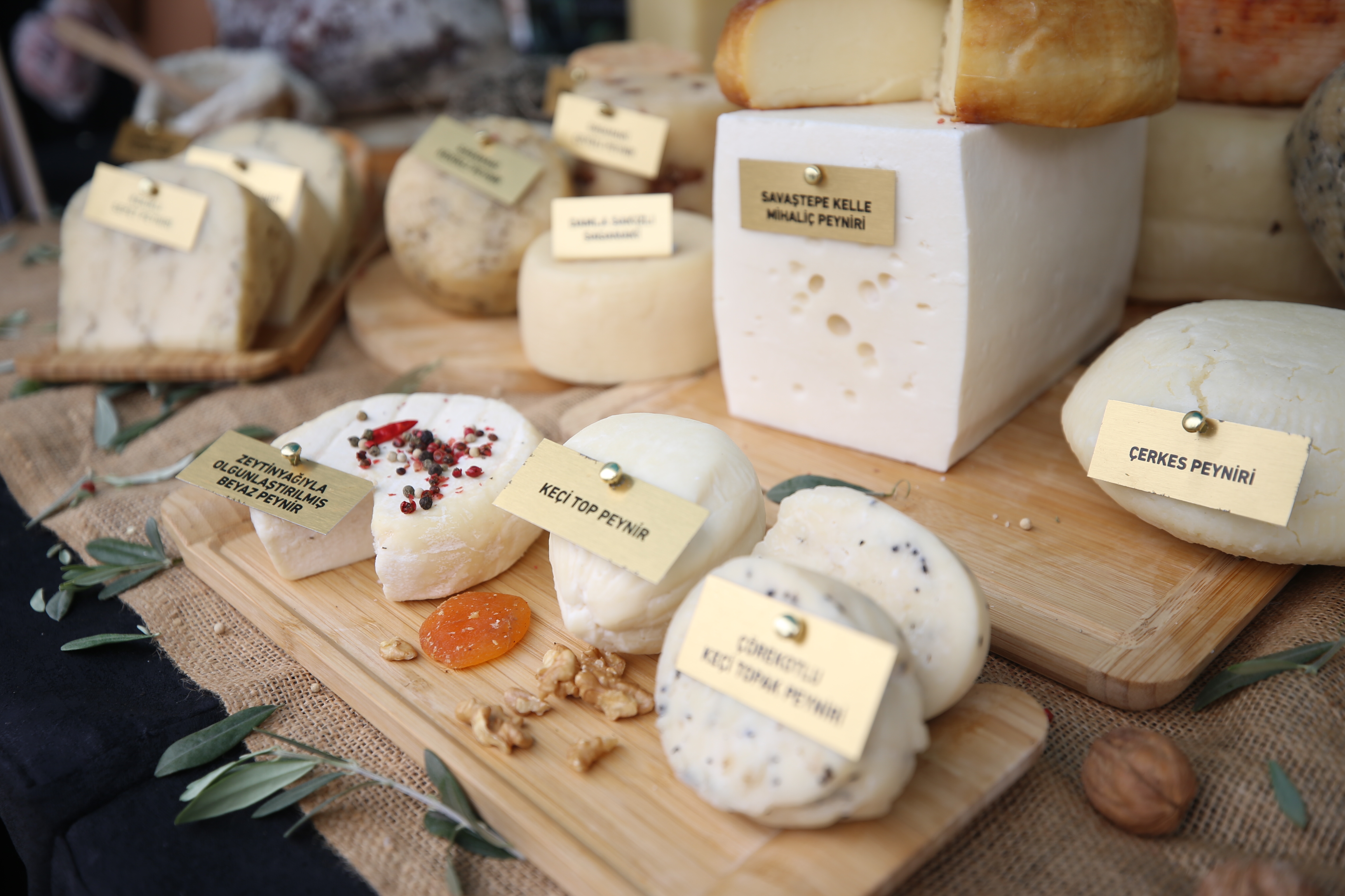 aa-20220407-27496144-27496138-bodrumda-4-uluslararasi-peynir-festivali-basladi.jpg