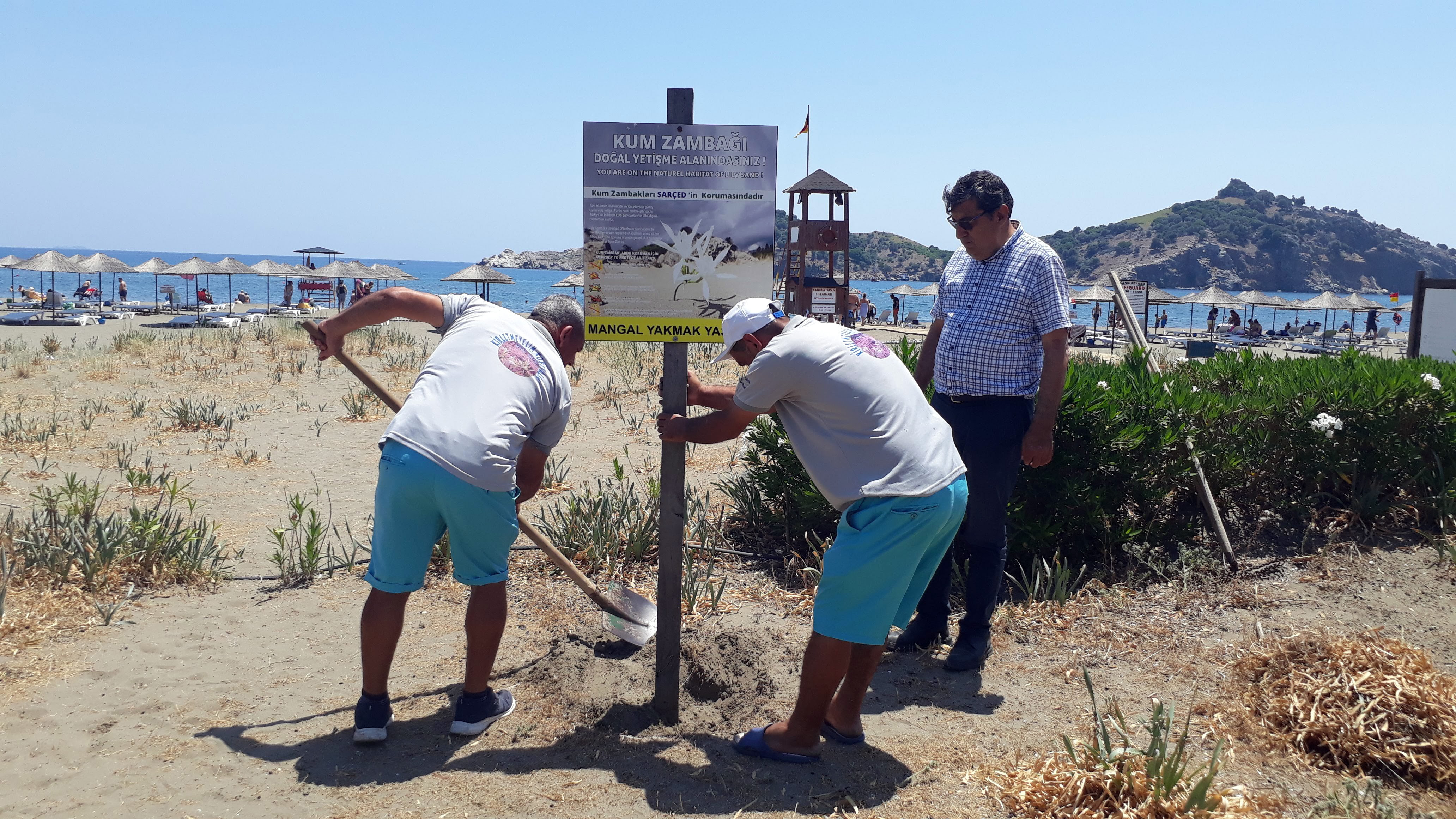 aa-20220605-28076788-28076785-muglada-kum-zambaklariyla-unlu-halk-plaji-temizlendi.jpg