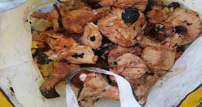 Whatsapp Görsel 2024 10 30 Saat 21.26.27 7B5Ee3Fd