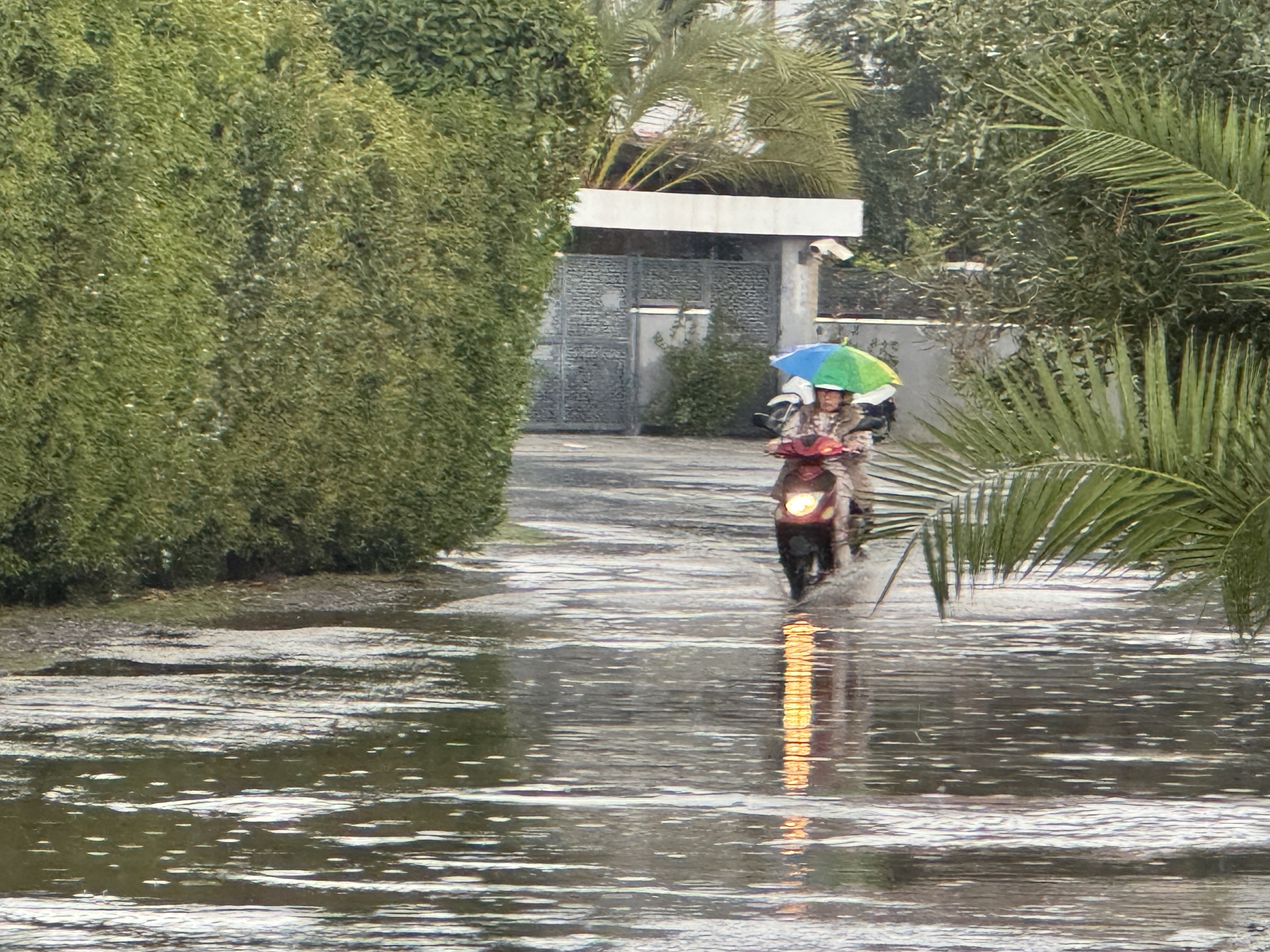 A A 20241130 36339652 36339645 M A R M A R I S T E S A G A N A K E T K I L I O L D U