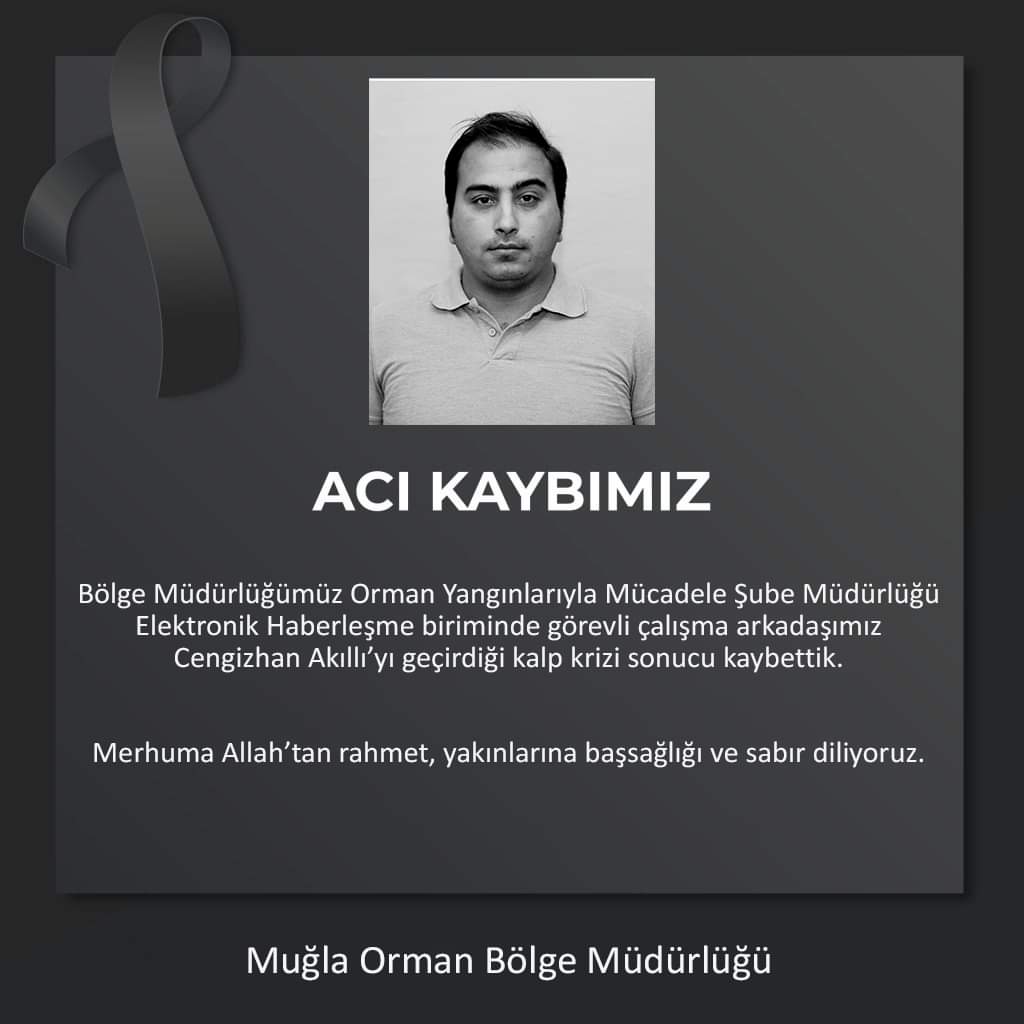 I M G 20241118 W A0054