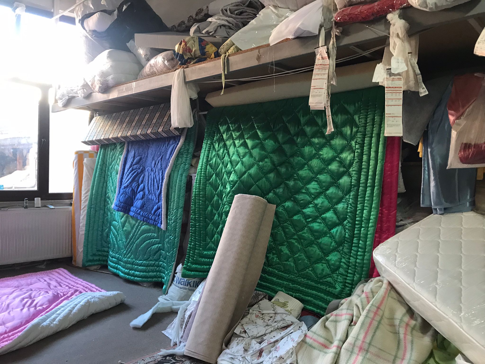 Whatsapp Image 2024 11 12 At 09.56.34