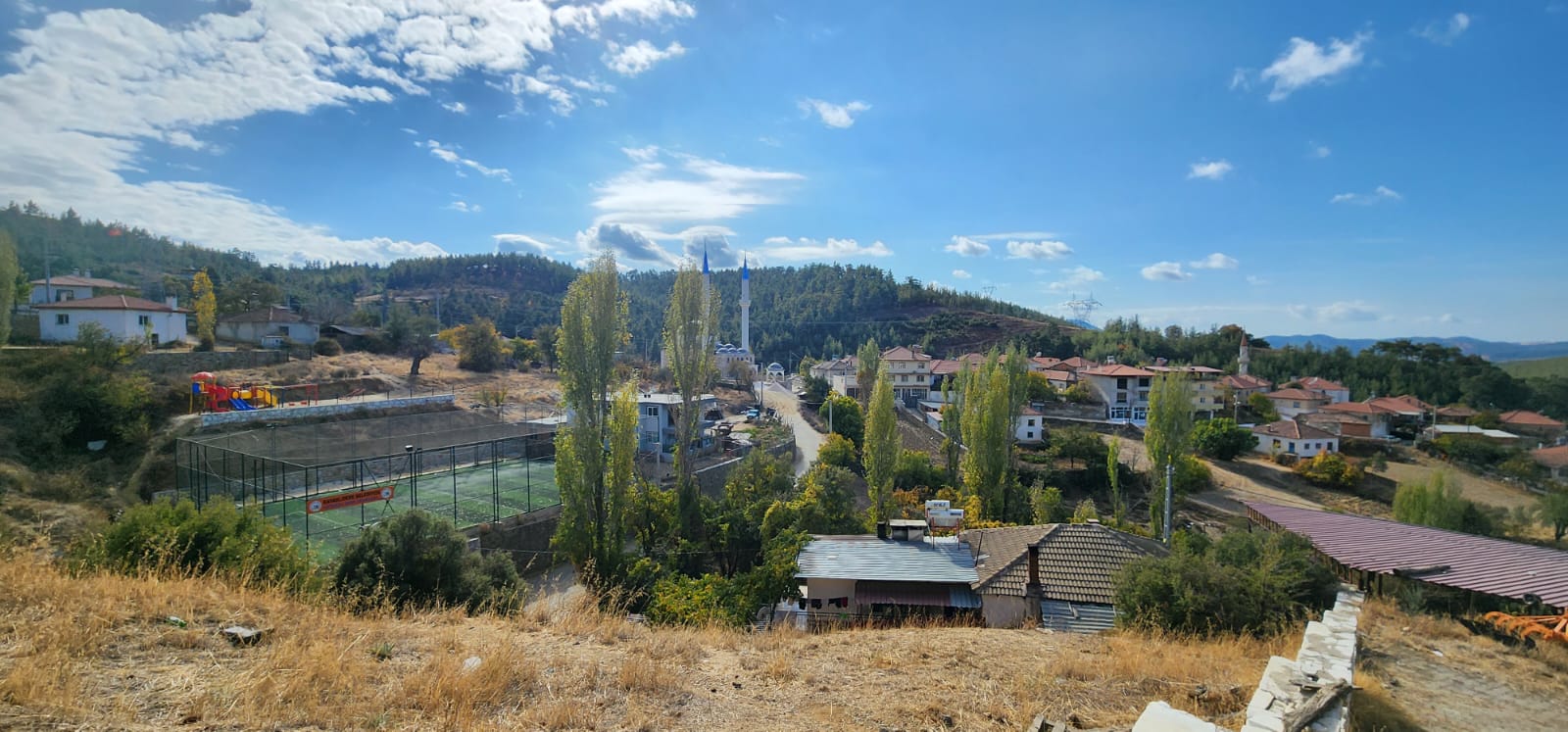 Whatsapp Image 2024 11 13 At 13.56.47