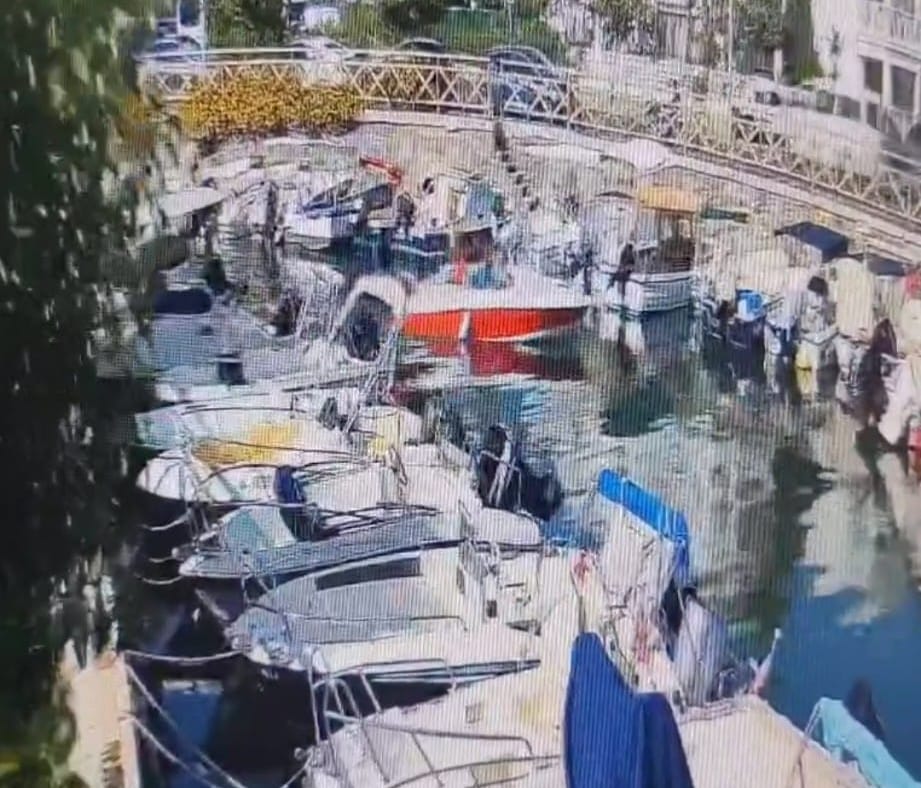 Whatsapp Image 2024 11 19 At 11.31.55