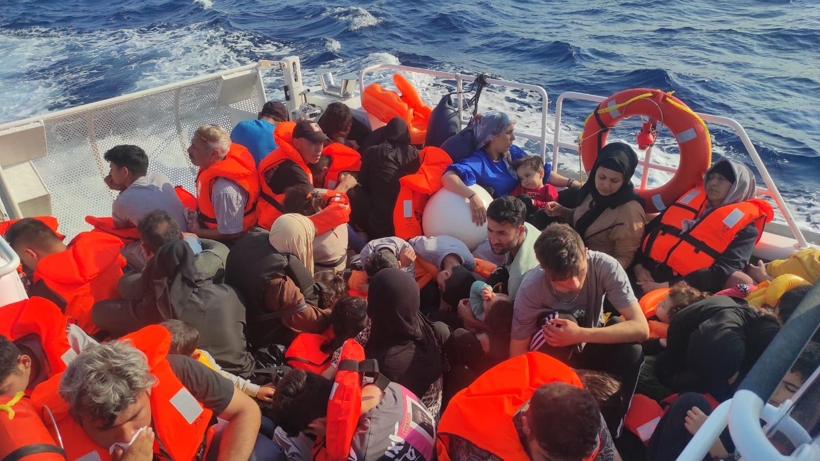 Whatsapp Image 2024 11 20 At 16.51.30