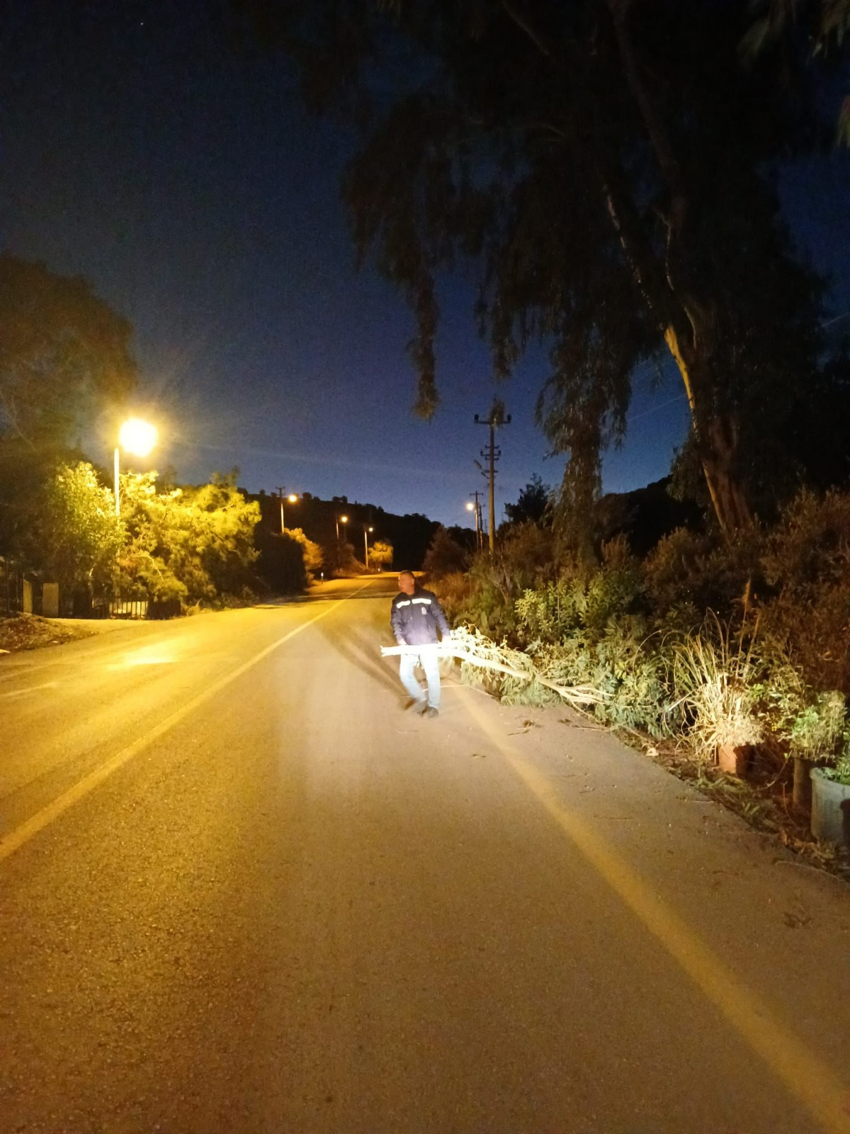 Whatsapp Image 2024 11 25 At 10.49.46 (2)