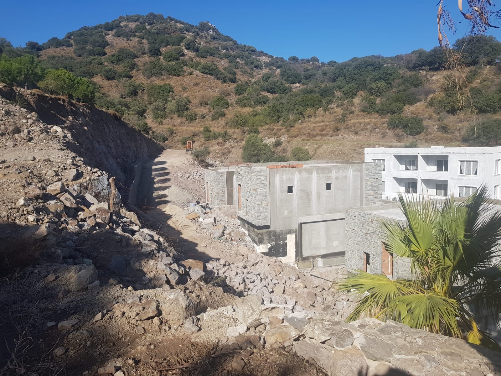 Whatsapp Image 2024 11 28 At 13.38.58