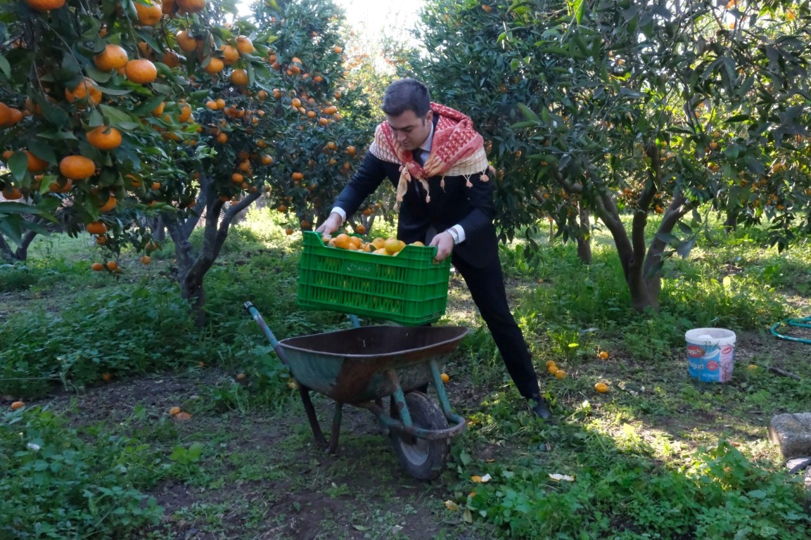 Bodrum Bel Baskan Mandalinci Mandalina Hasadina Katildi (4)