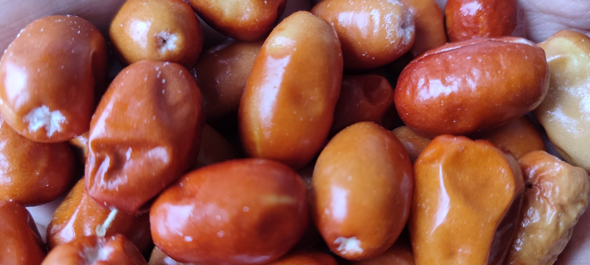 Whatsapp Image 2024 12 01 At 12.07.32 (2)