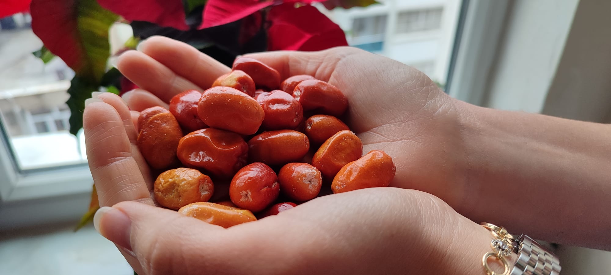 Whatsapp Image 2024 12 01 At 12.07.32