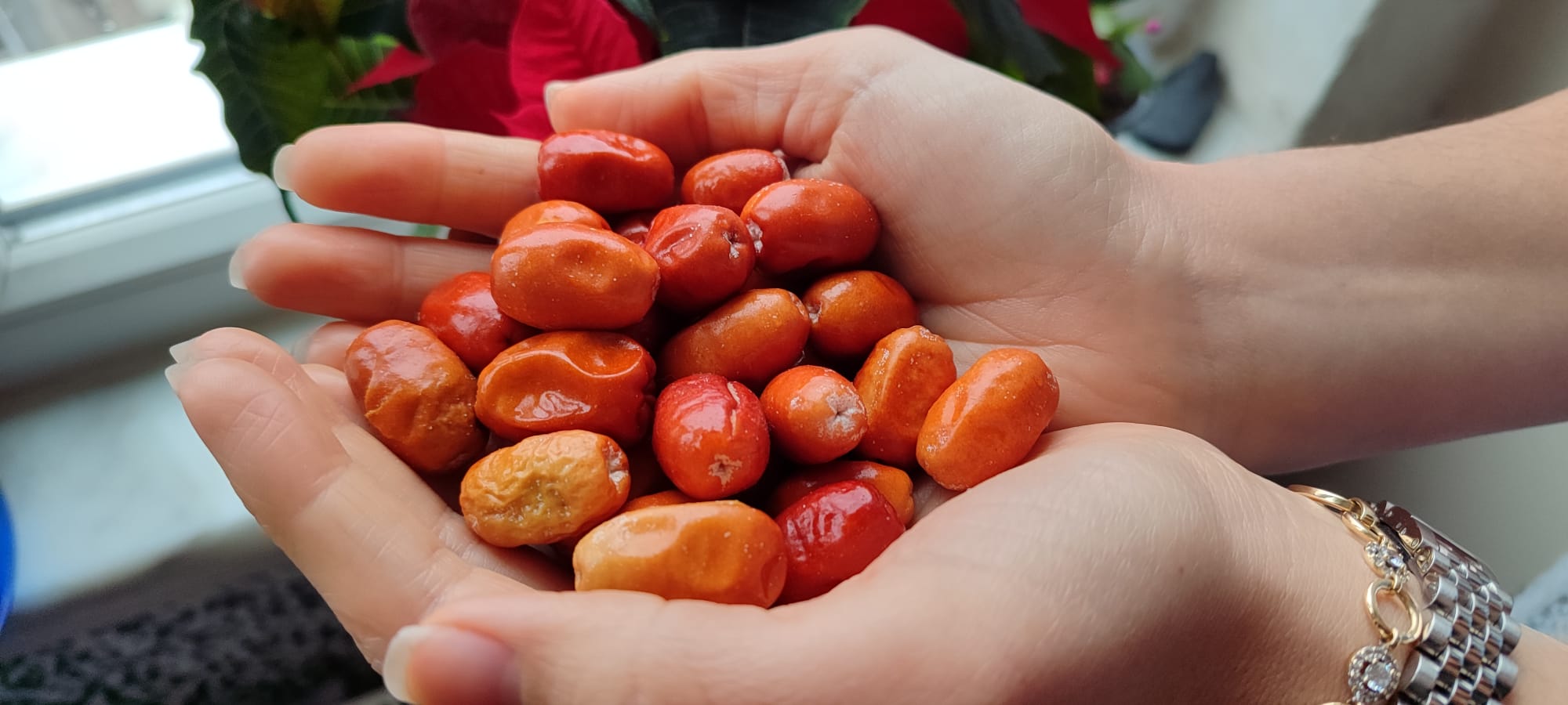 Whatsapp Image 2024 12 01 At 12.07.33 (1)