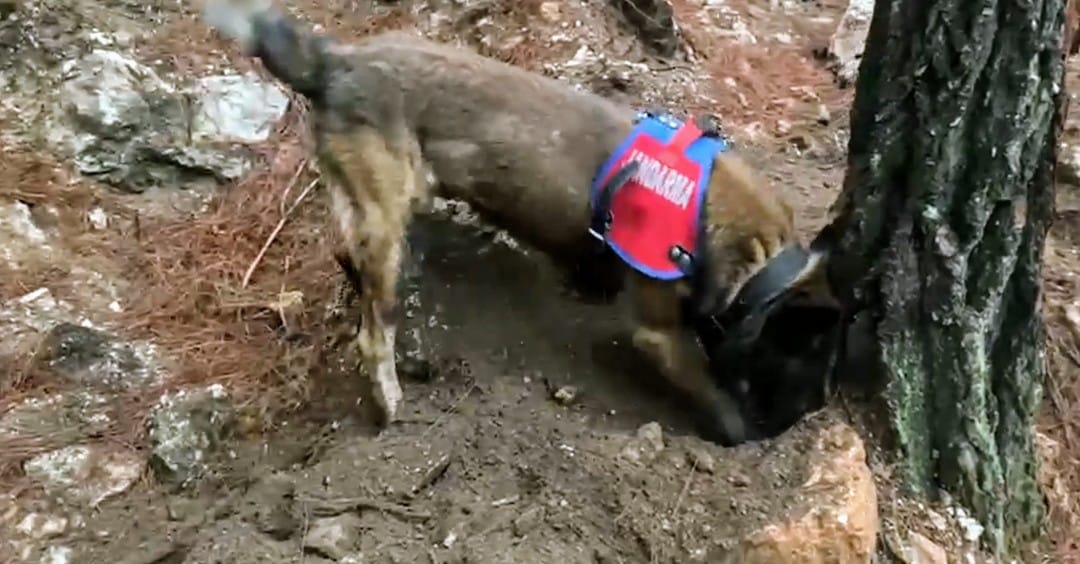 Whatsapp Image 2024 12 07 At 15.00.38 (1)