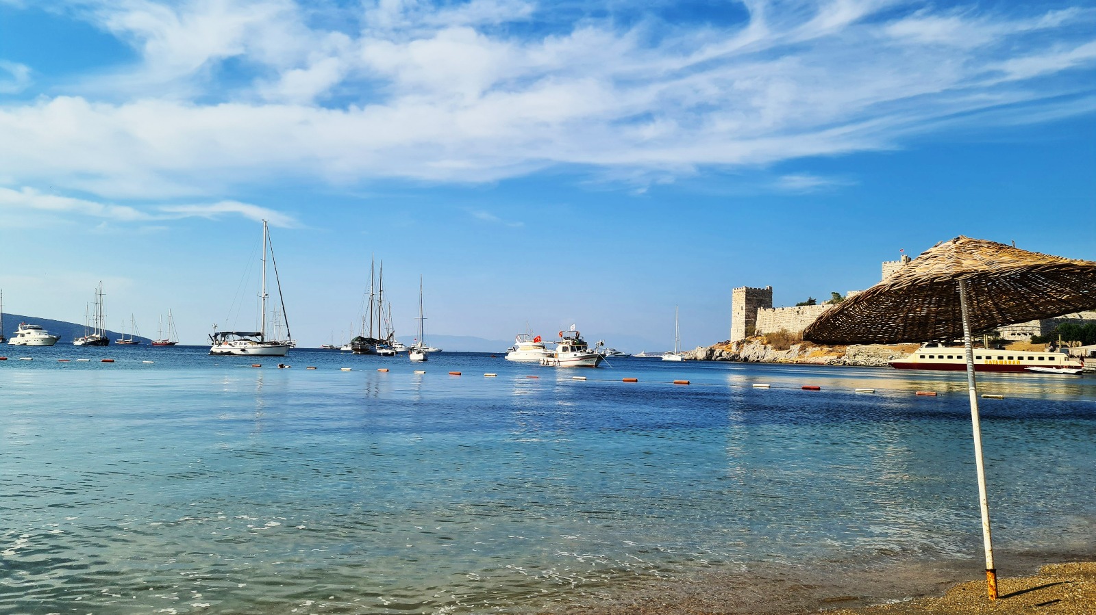 Whatsapp Image 2024 12 09 At 14.14.22