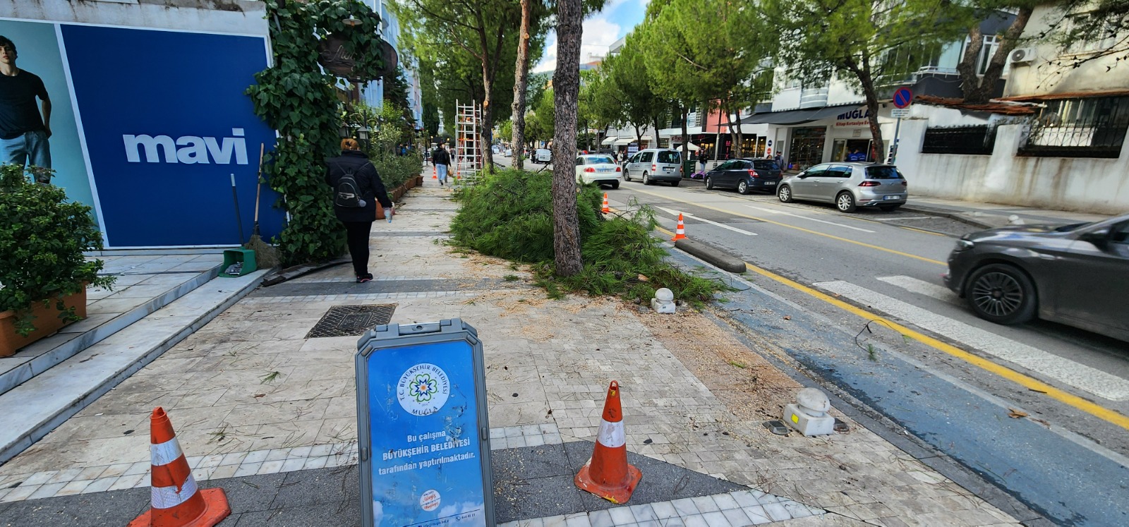 Whatsapp Image 2024 12 13 At 11.15.02 (1)