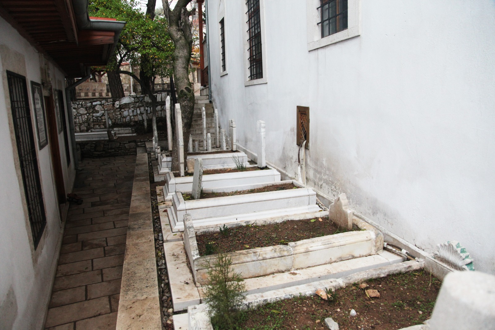 Whatsapp Image 2024 12 13 At 14.09.04