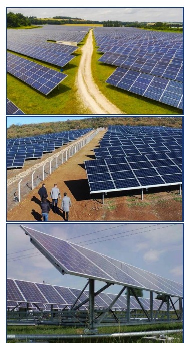 Whatsapp Image 2024 12 17 At 14.04.19 (1)