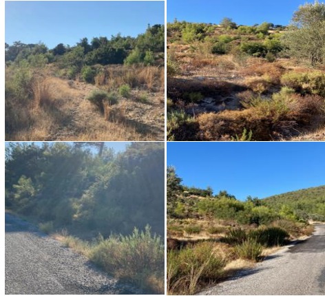 Whatsapp Image 2024 12 17 At 14.04.20