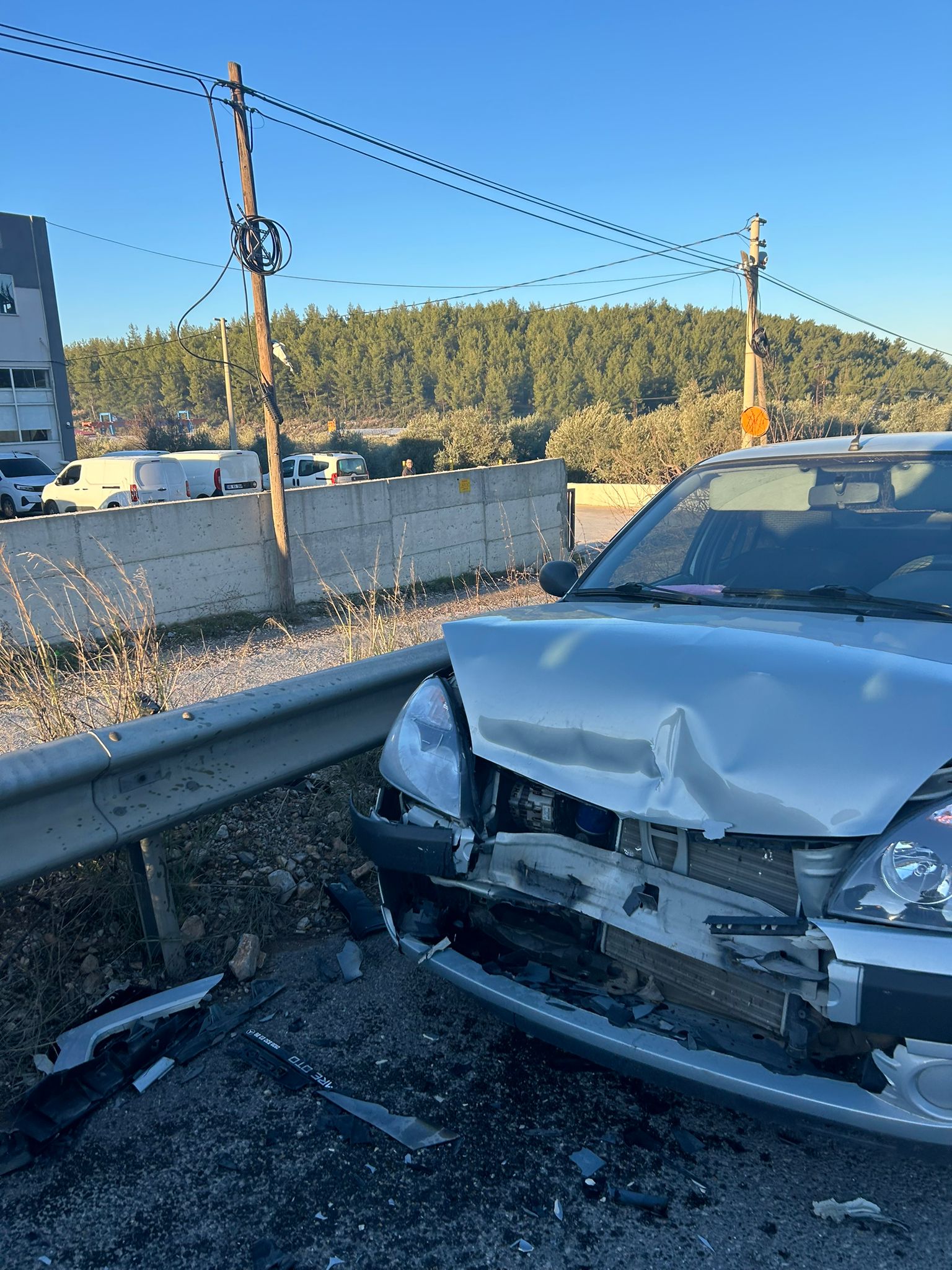 Whatsapp Image 2024 12 19 At 09.23.54 (1)