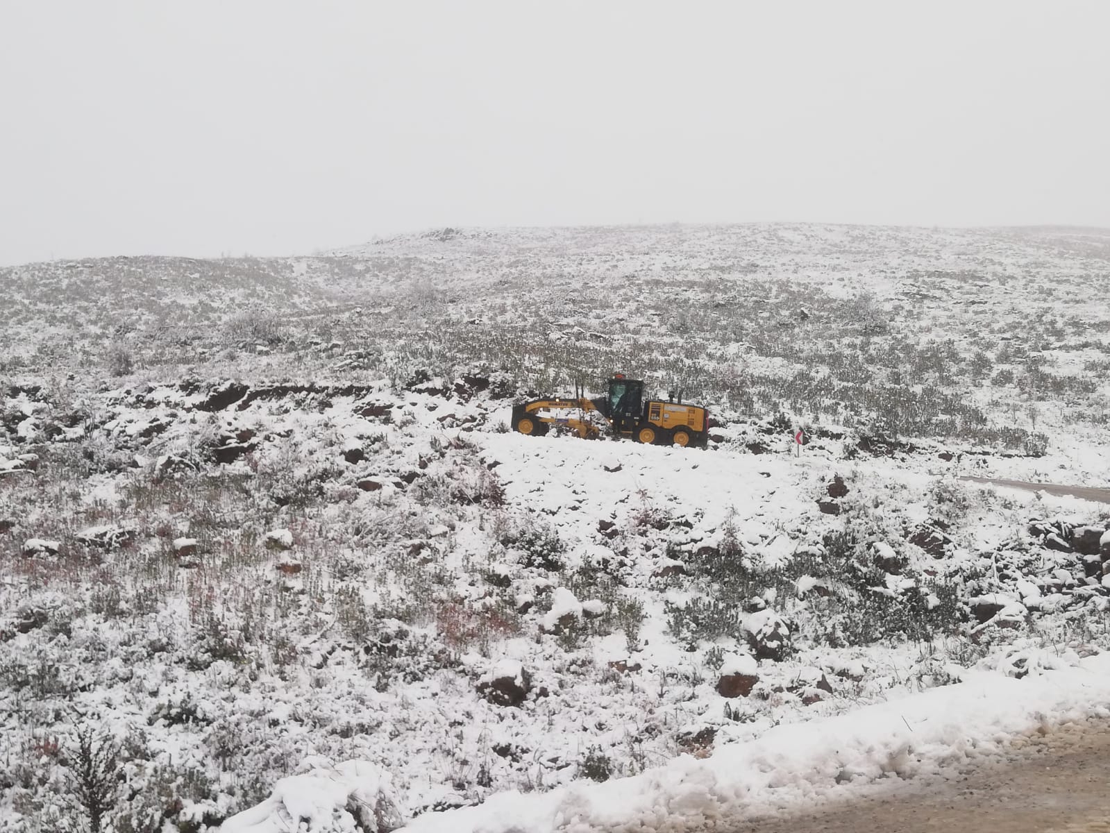 Whatsapp Image 2024 12 31 At 14.04.30 (1)