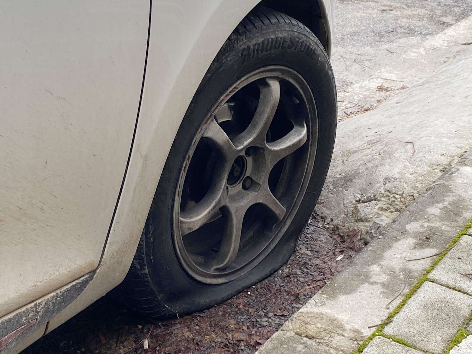 Whatsapp Image 2025 01 12 At 17.38.37