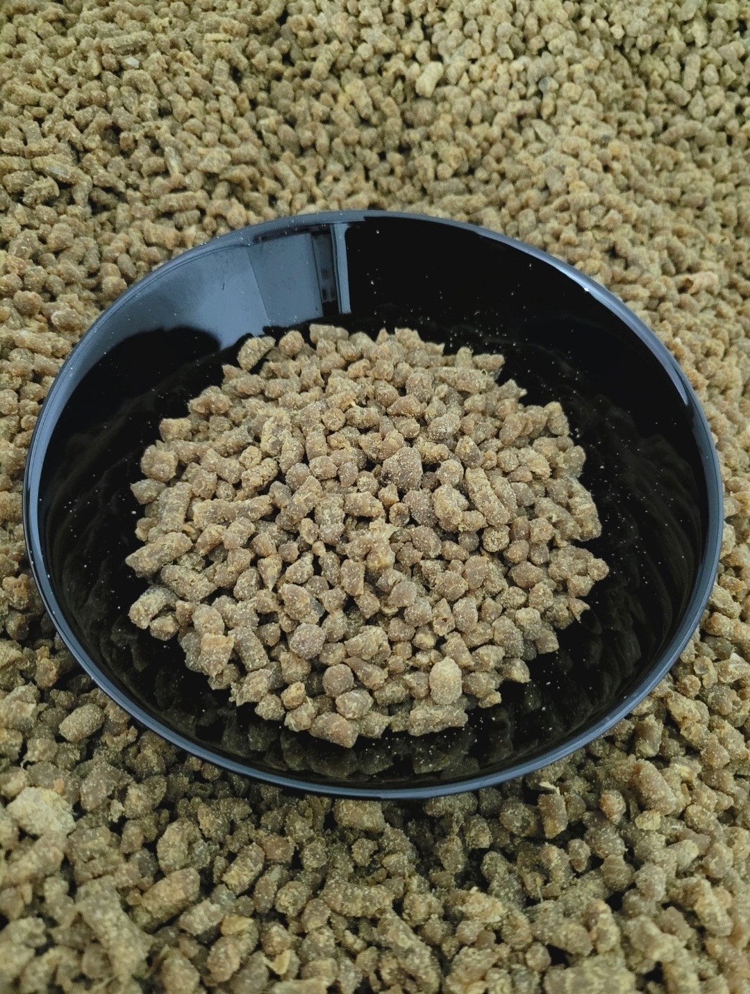 Whatsapp Image 2025 01 13 At 14.08.15