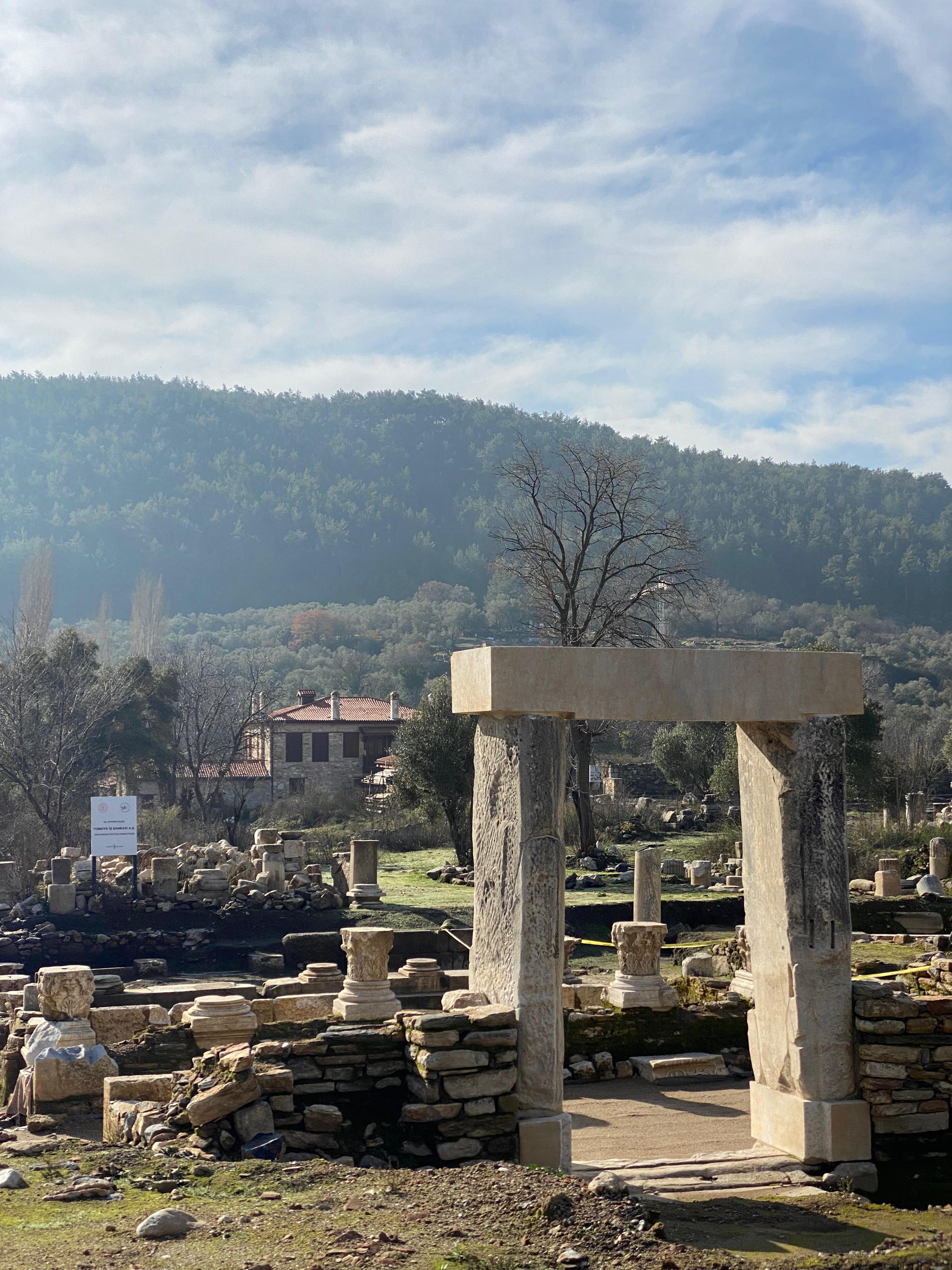 Whatsapp Image 2025 01 20 At 11.30.44