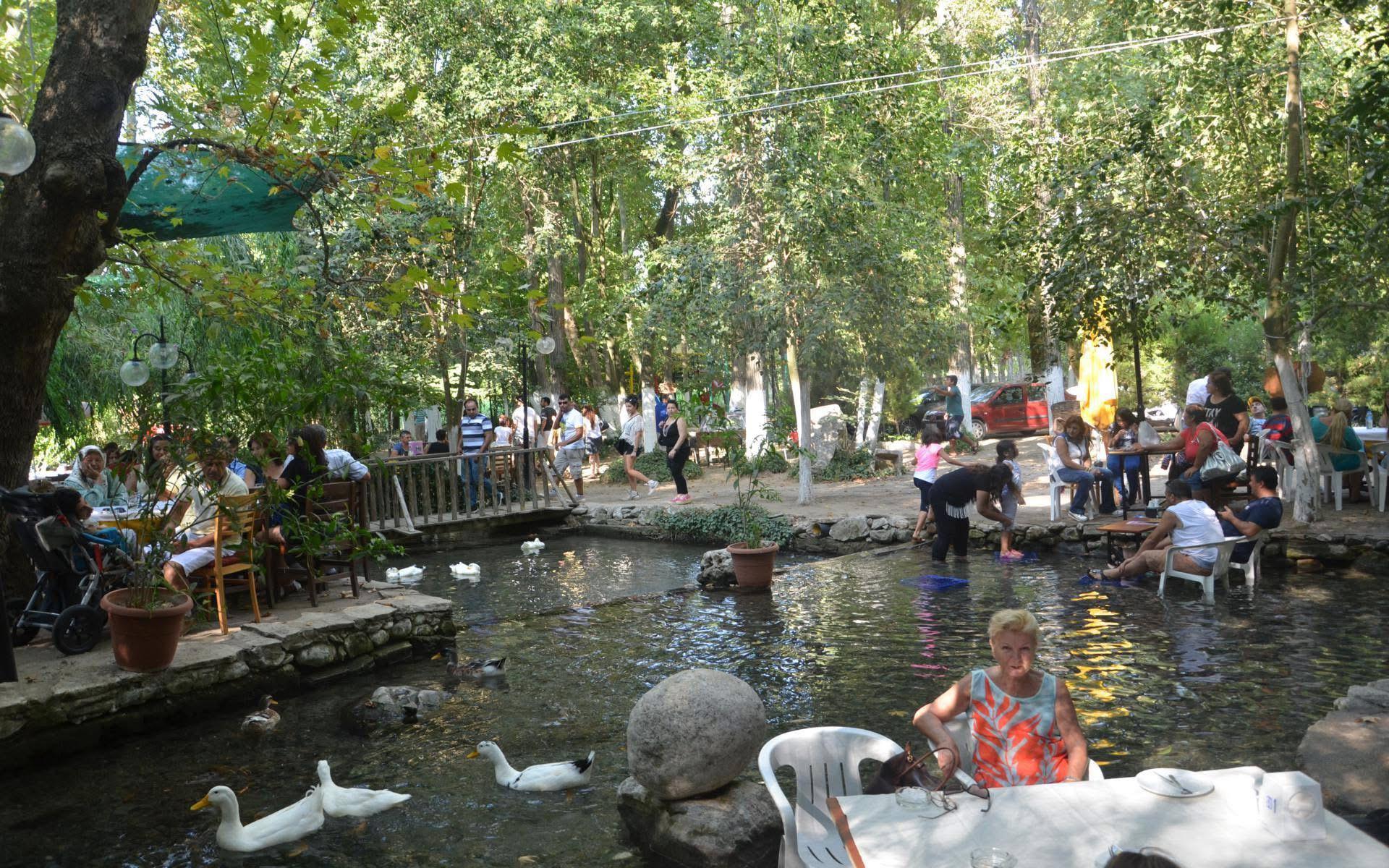 Whatsapp Image 2025 01 29 At 15.56.53 (1)