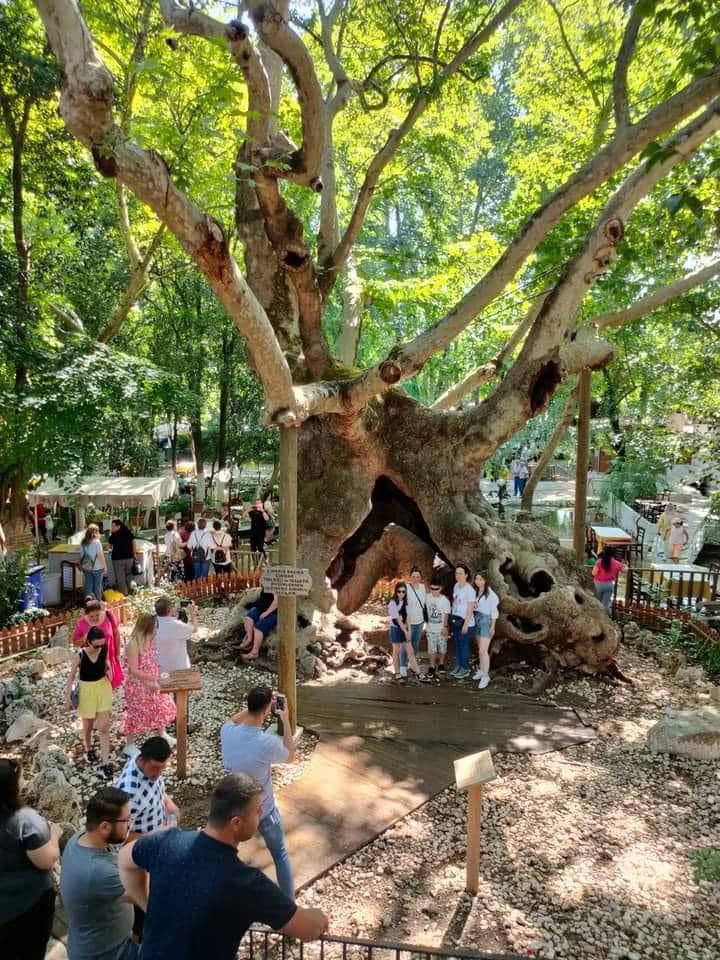 Whatsapp Image 2025 01 29 At 15.56.53