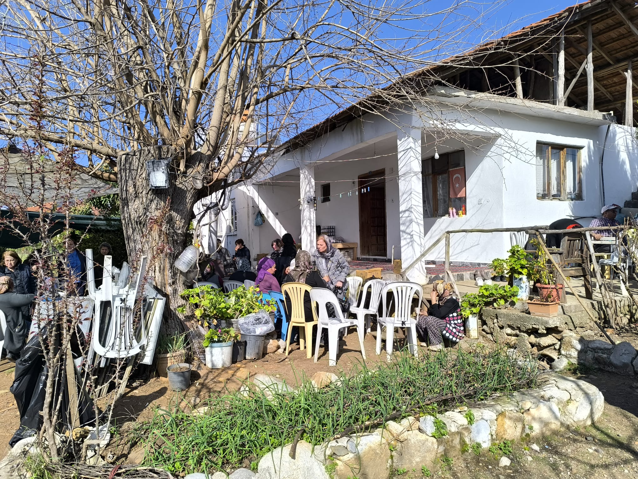 Whatsapp Image 2025 01 30 At 09.34.04 (3)-1