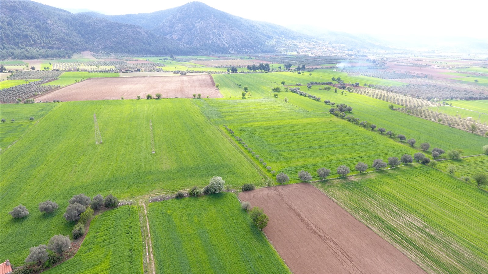 Whatsapp Image 2025 01 31 At 10.47.56 (1)