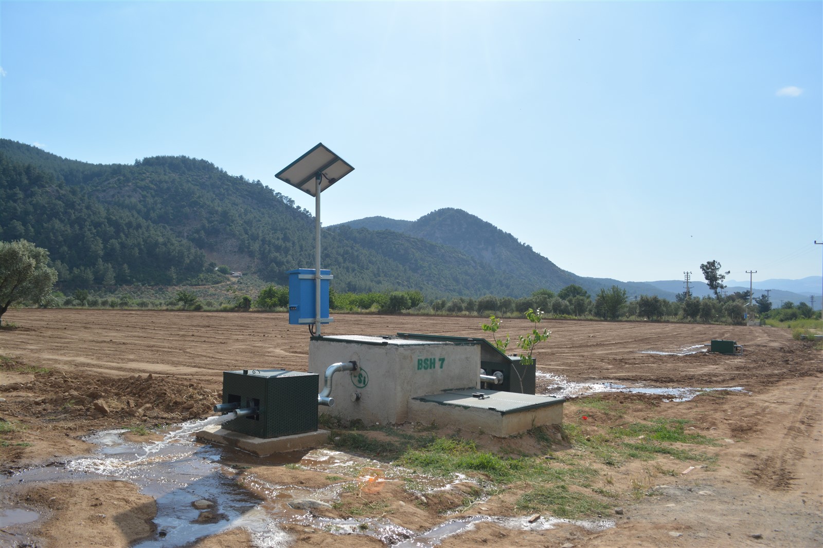 Whatsapp Image 2025 01 31 At 10.47.58 (2)