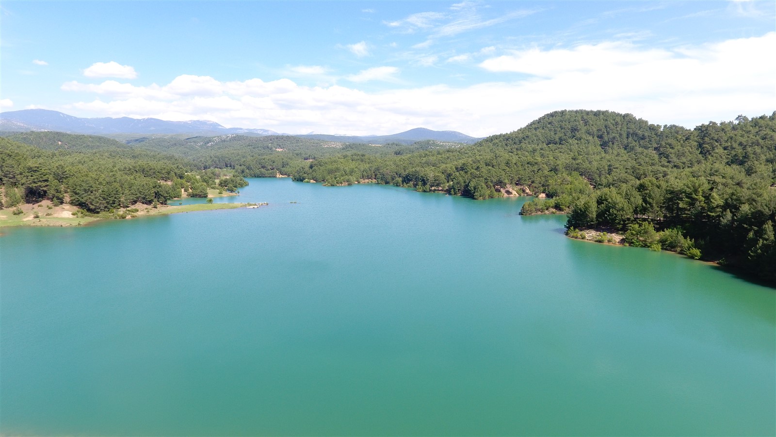 Whatsapp Image 2025 01 31 At 10.47.58