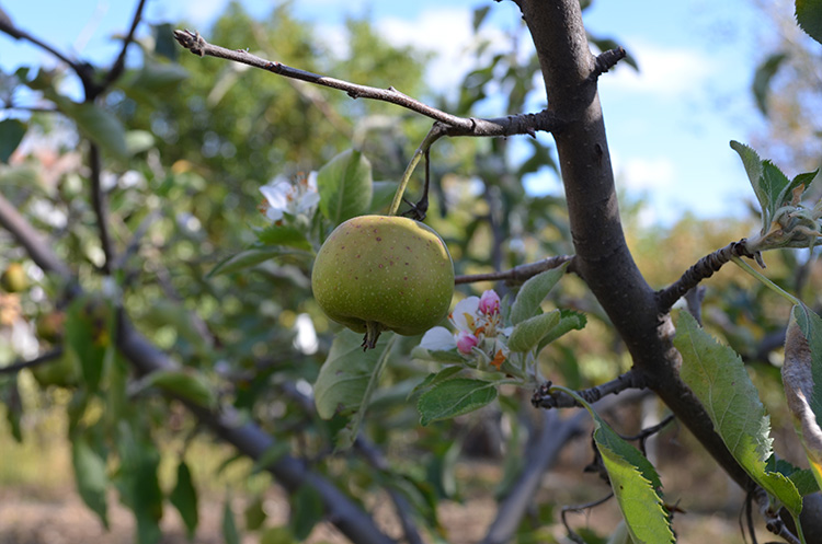 10 2024 19192924 Cankırı1