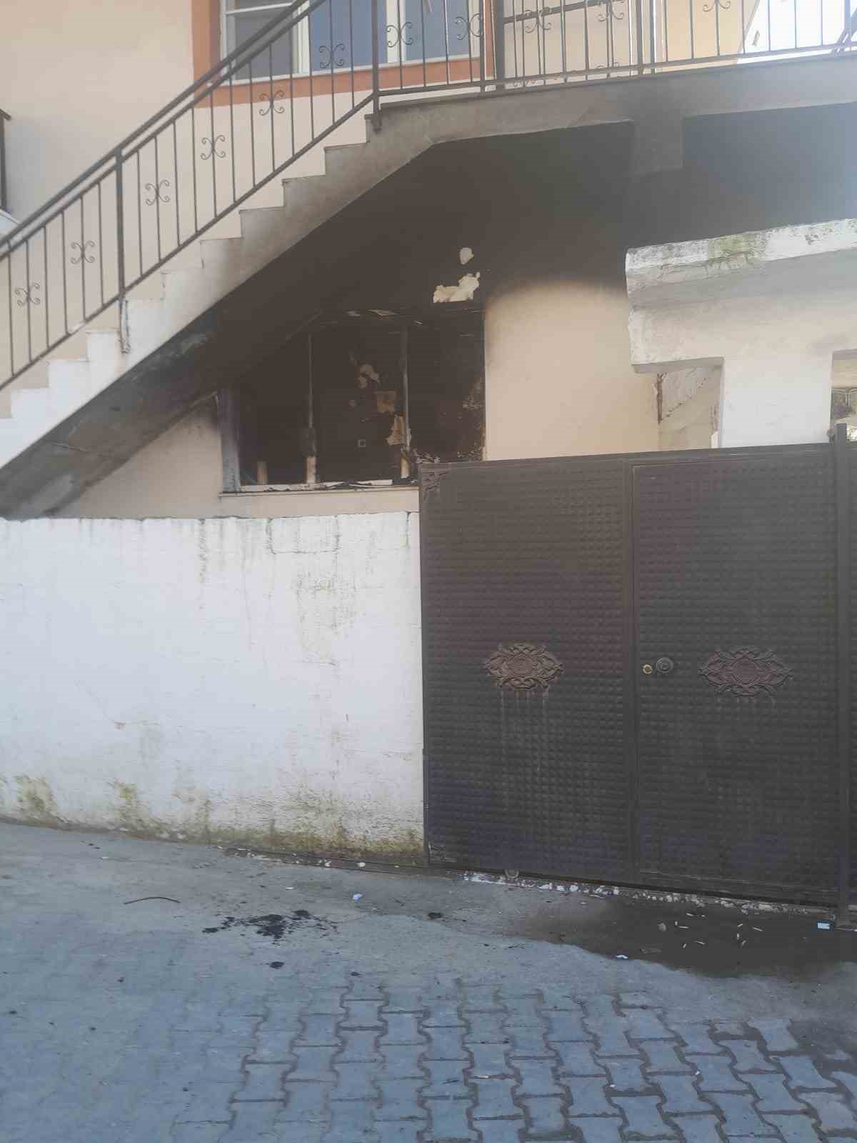 20250208Aw387311 2 (1)