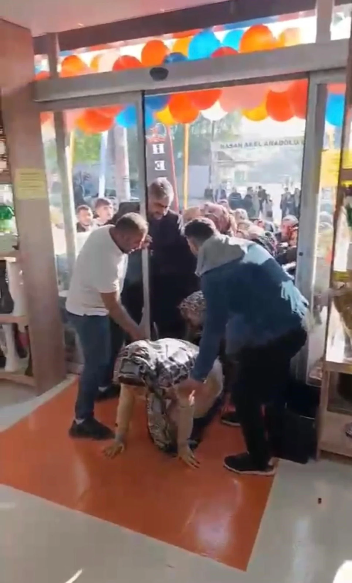 67A794D34F995953 W1200Xh1990