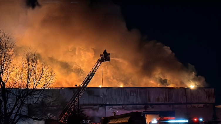 Aa Picture 20250210 37013603